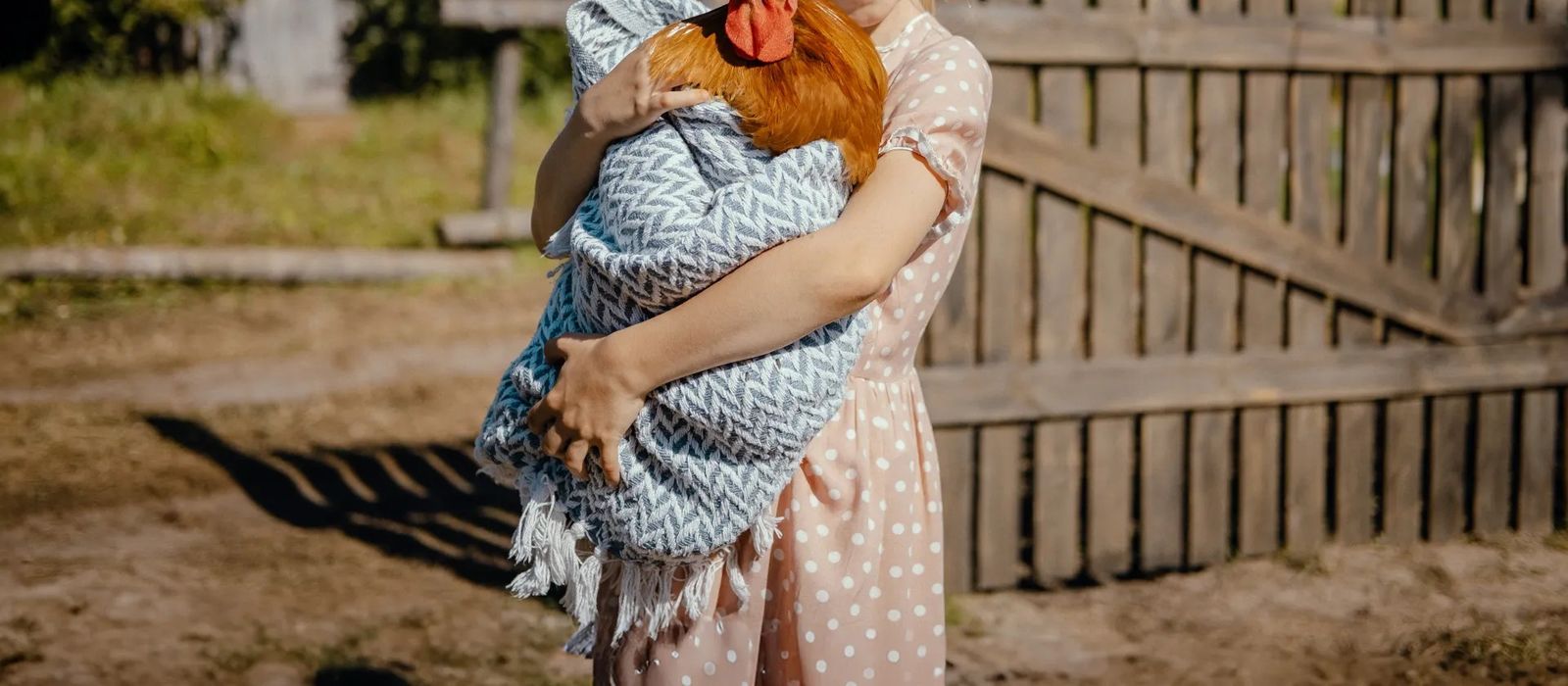 На деревню дедушке
