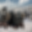День победы русских воинов князя Александра Невского над немецкими рыцарями на Чудском озере